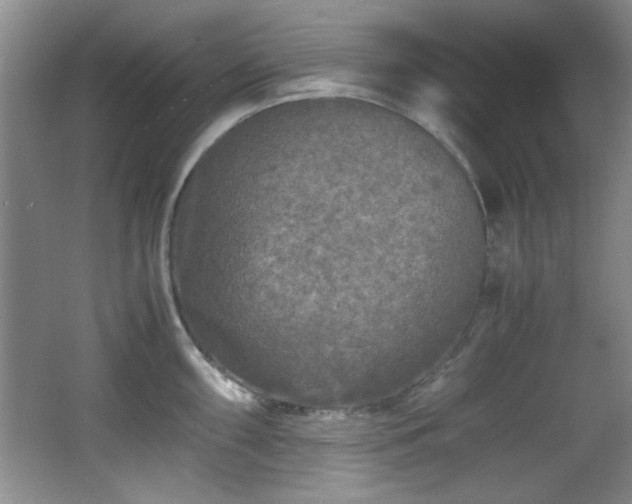 X0000066001098200603061317