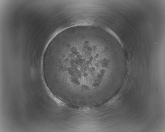 X0000066001099200603061317