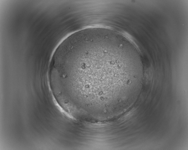 X0000066001100200603061317