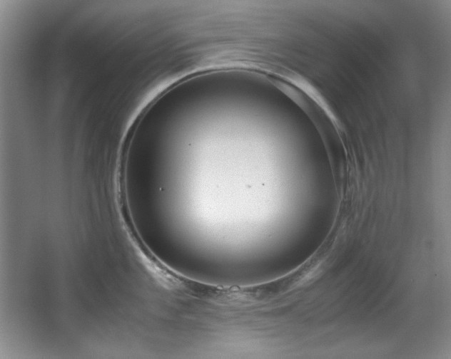 X0000066001101200603061317