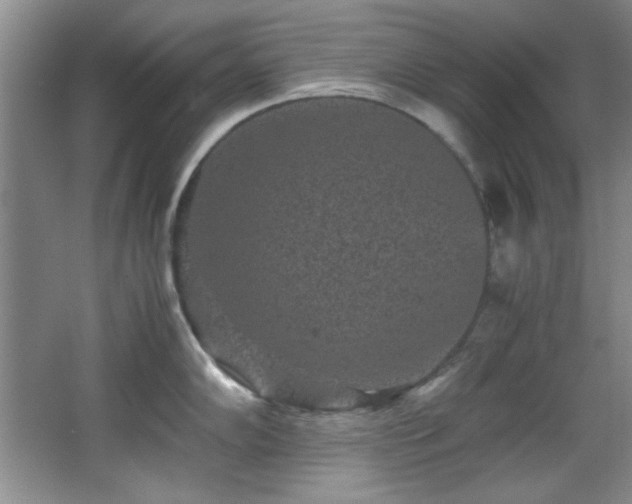 X0000066001102200603061317