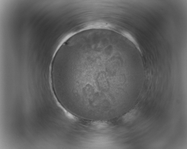 X0000066001103200603061317