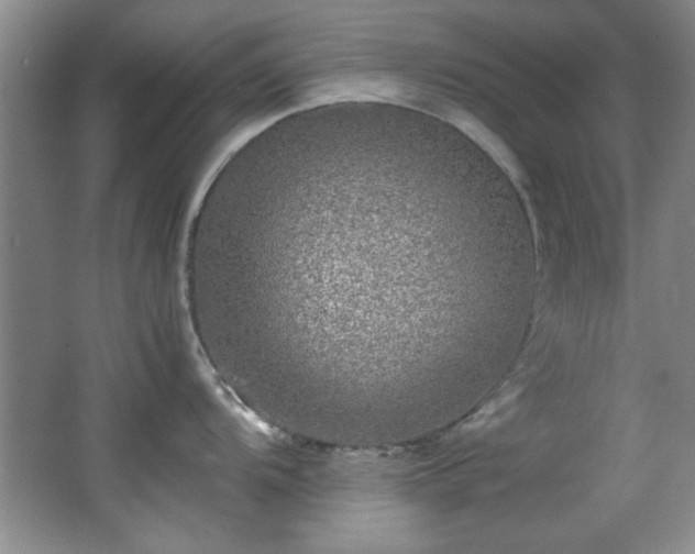 X0000066001104200603061317