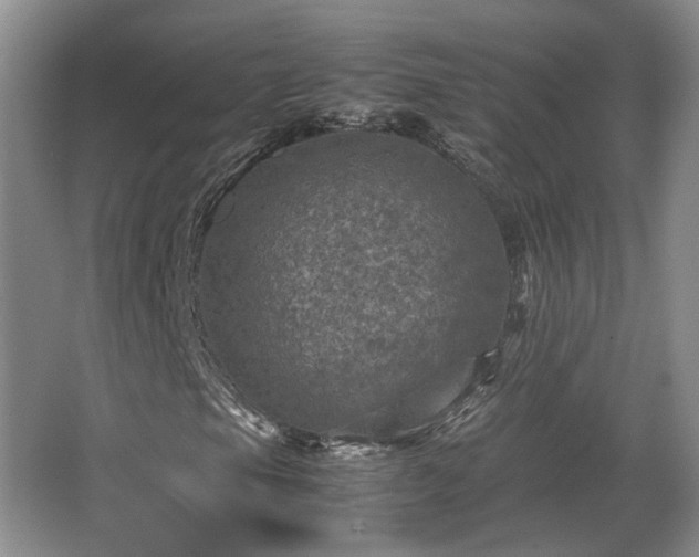 X0000066001105200603061316