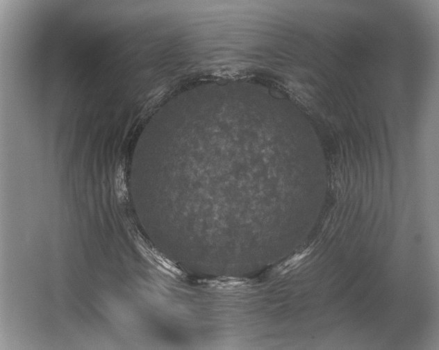 X0000066001106200603061316