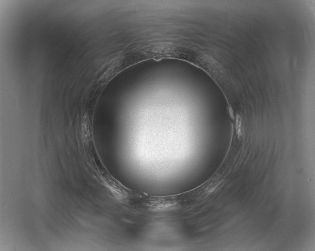 X0000066001107200603061316