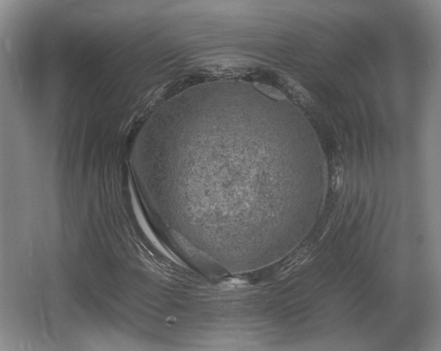 X0000066001108200603061316