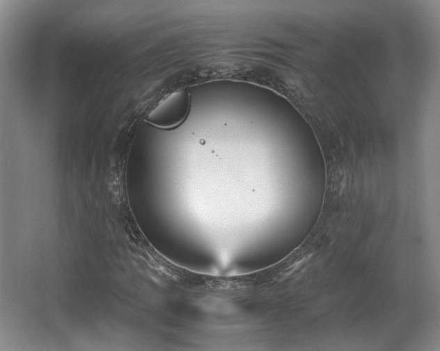 X0000066001109200603061316