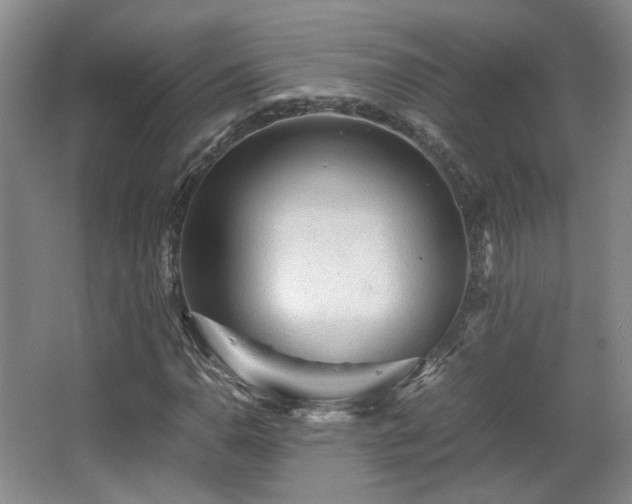 X0000066001110200603061316