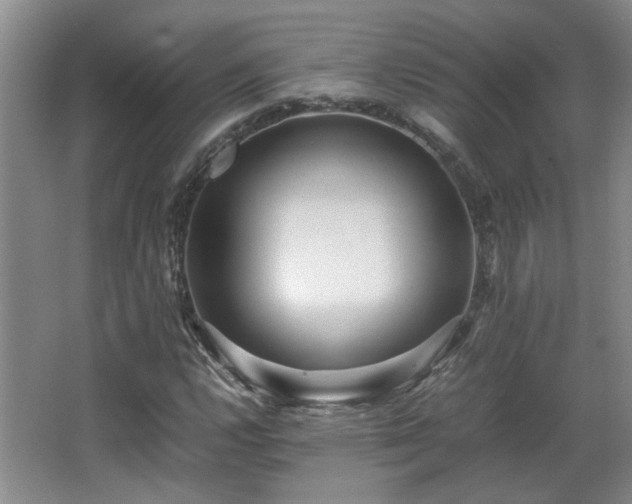 X0000066001112200603061316