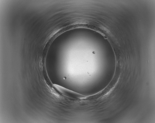 X0000066001113200603061316