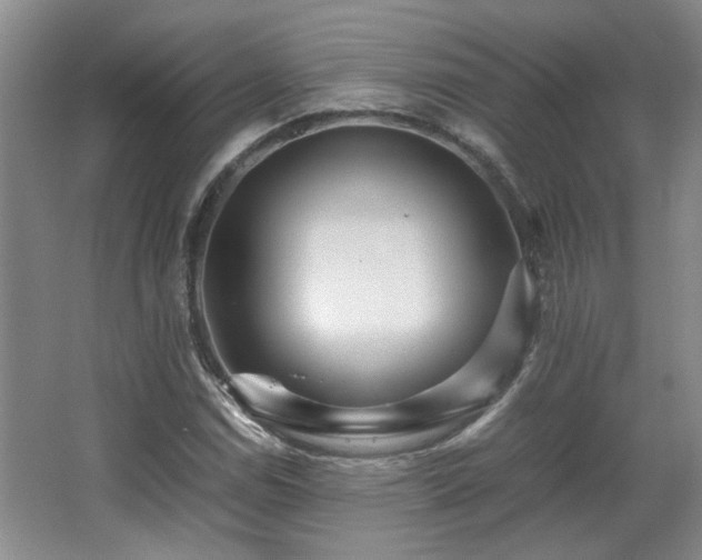 X0000066001114200603061316