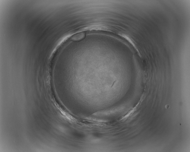 X0000066001115200603061316