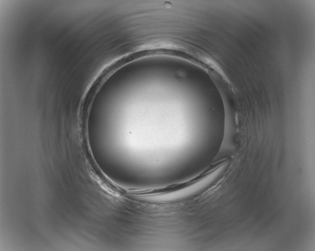 X0000066001116200603061316