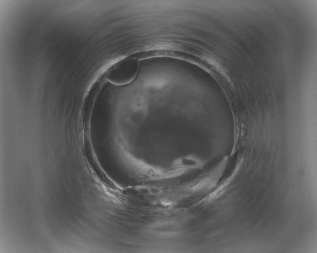 X0000066001117200603061316