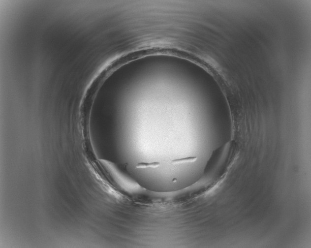 X0000066001118200603061316