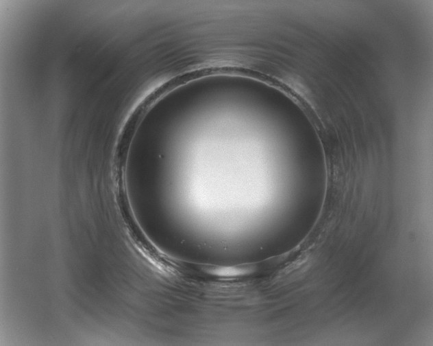 X0000066001119200603061316