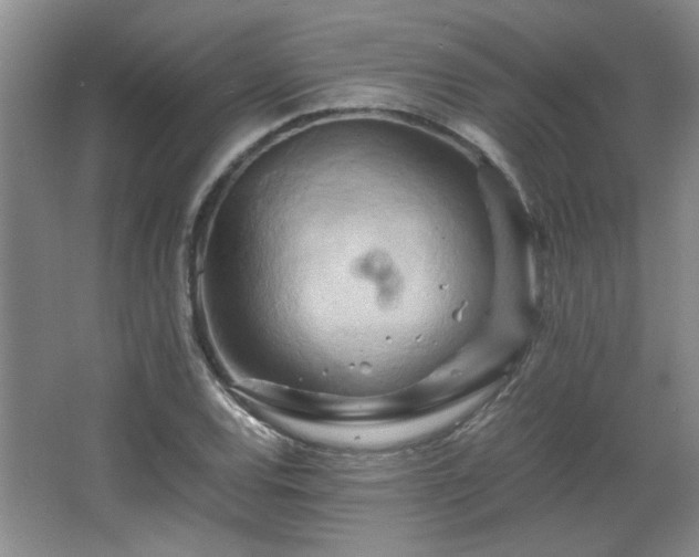 X0000066001120200603061316