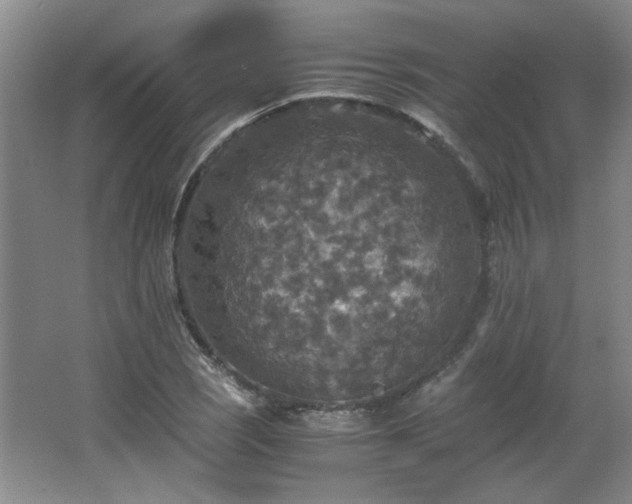 X0000066001121200603061316