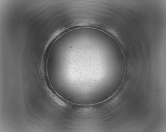 X0000066001122200603061316