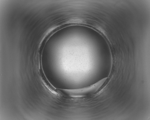 X0000066001123200603061316