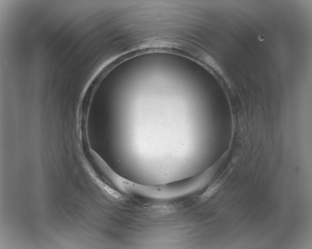 X0000066001124200603061316