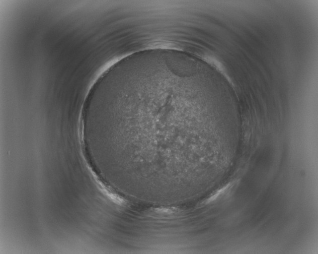 X0000066001125200603061316