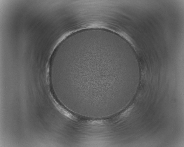 X0000066001126200603061316