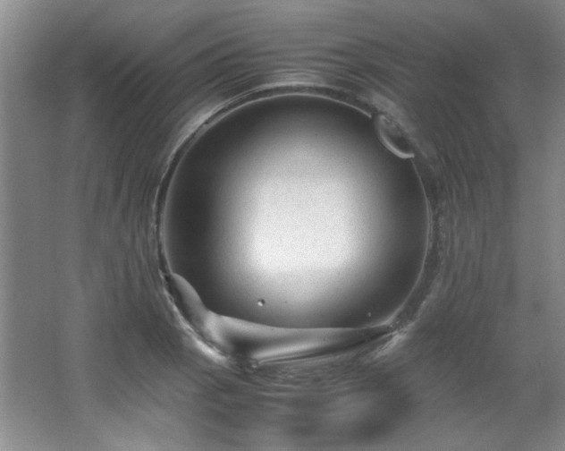 X0000066001129200603061316