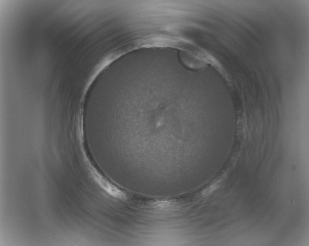 X0000066001130200603061316