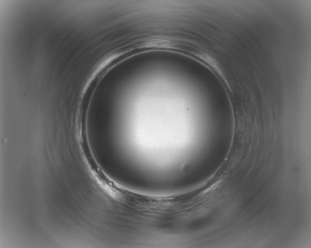 X0000066001131200603061316