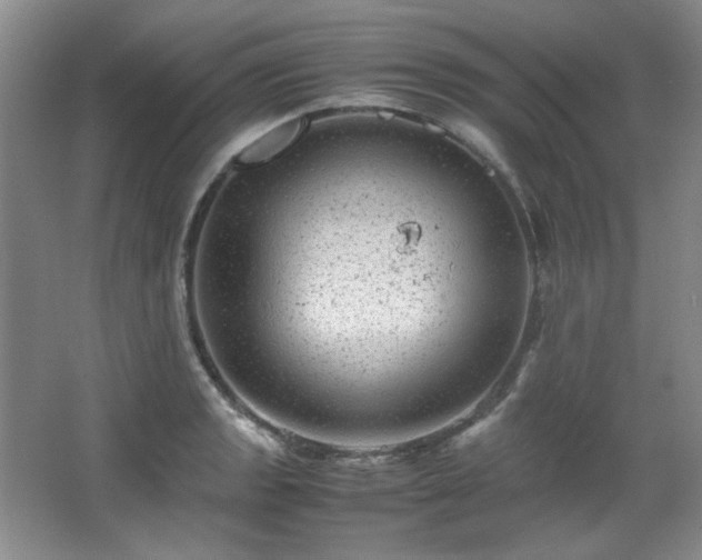 X0000066001133200603061316