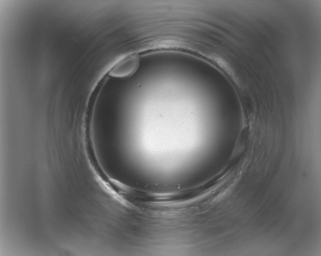 X0000066001134200603061316