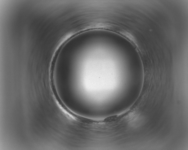 X0000066001135200603061316