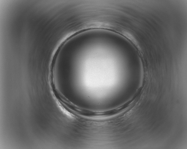 X0000066001136200603061316