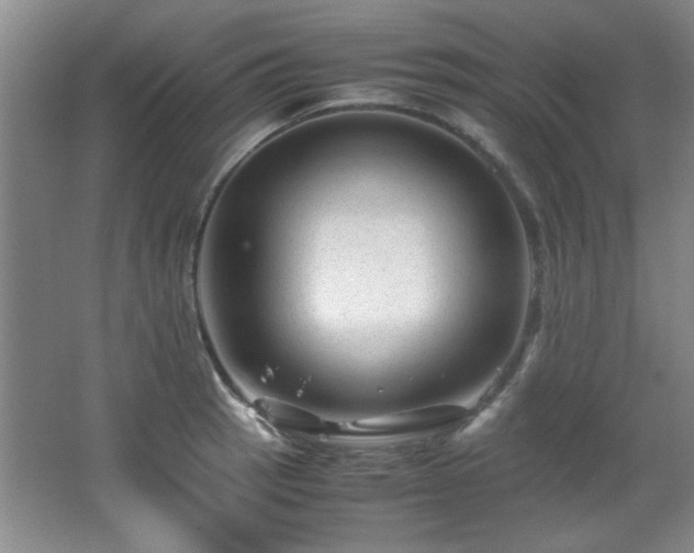 X0000066001137200603061316