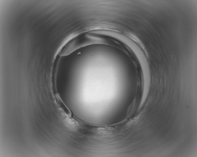 X0000066001138200603061316