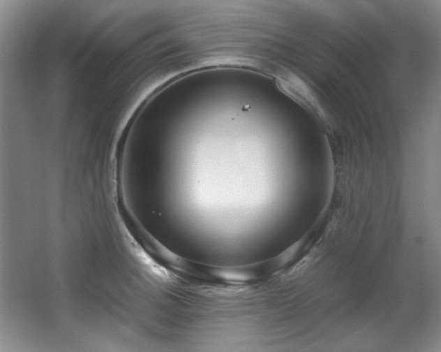 X0000066001140200603061317