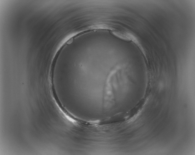 X0000066001141200603061317