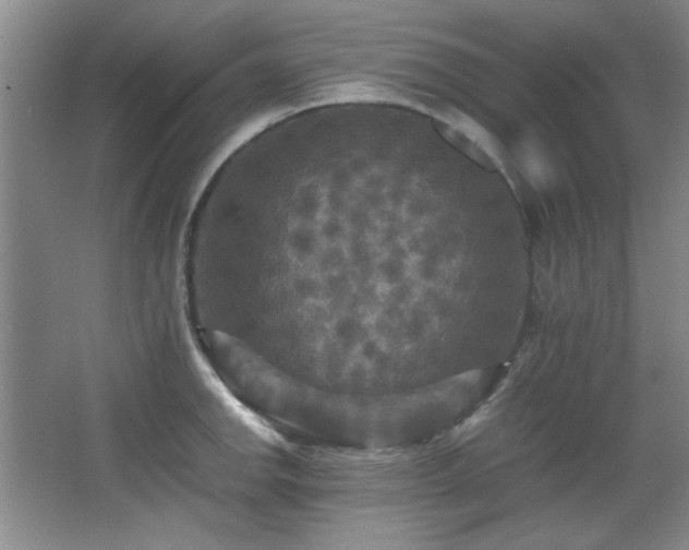 X0000066001142200603061317