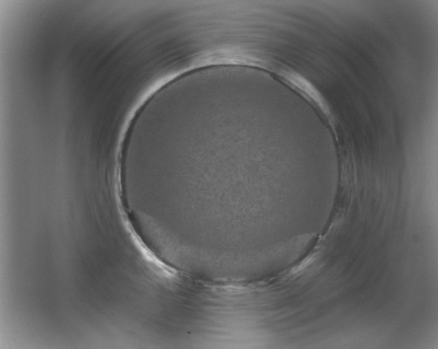 X0000066001144200603061317