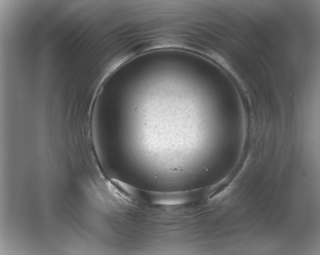 X0000066001145200603061317