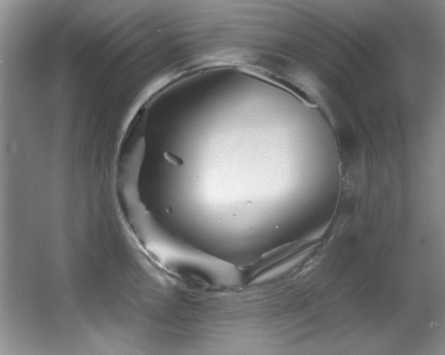 X0000066001146200603061317