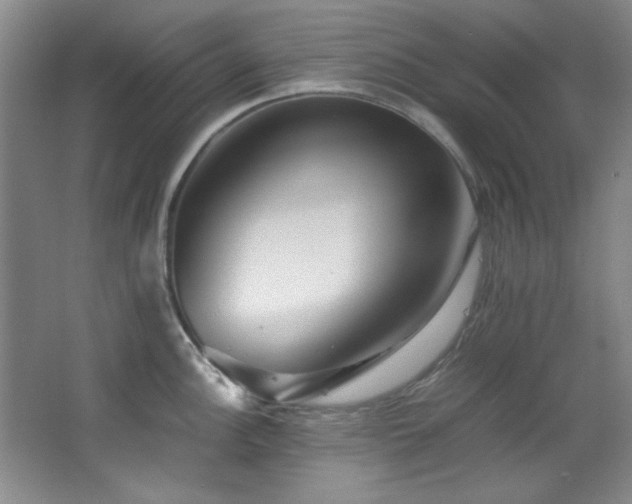 X0000066001148200603061317