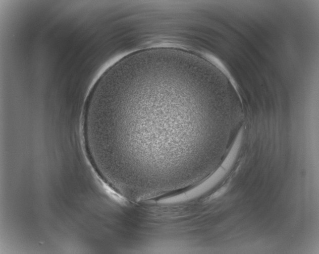 X0000066001149200603061317