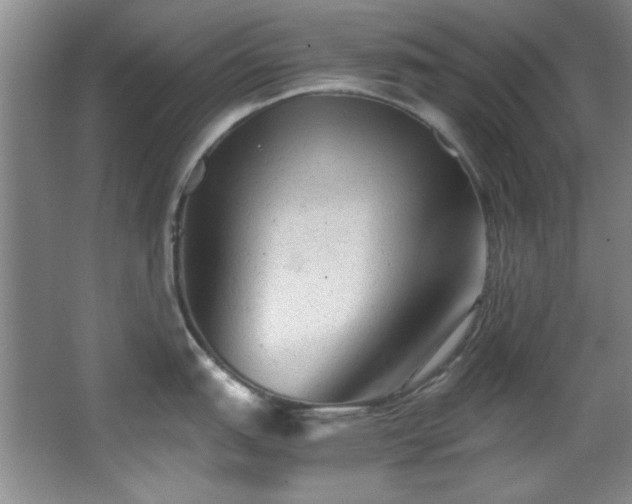 X0000066001151200603061317