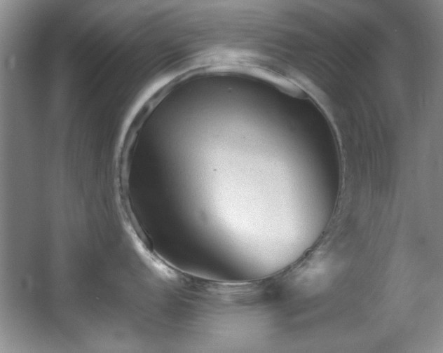 X0000066001152200603061317