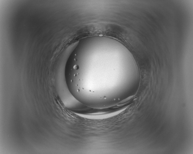 X0000066001153200603061316