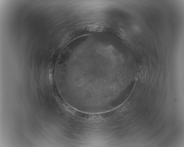 X0000066001154200603061316