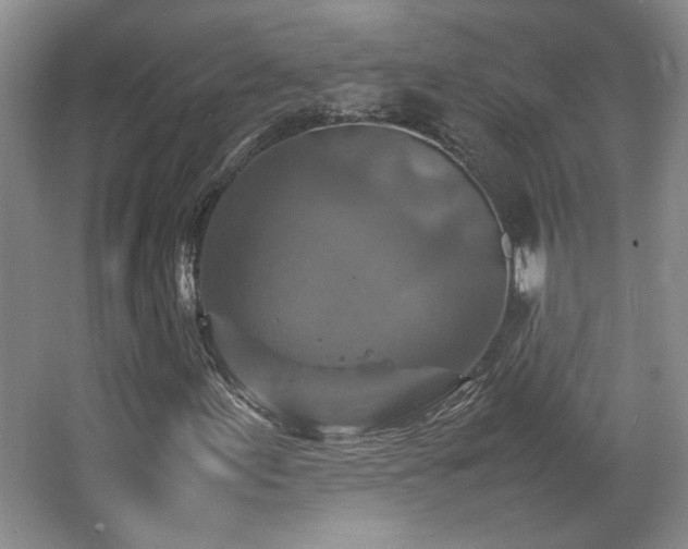 X0000066001155200603061316